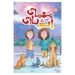 معمای آتش‌بازی