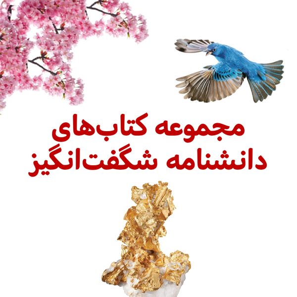پک دانشنامه ی شگفت انگیز - تصویر 1